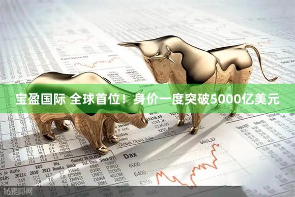 宝盈国际 全球首位！身价一度突破5000亿美元