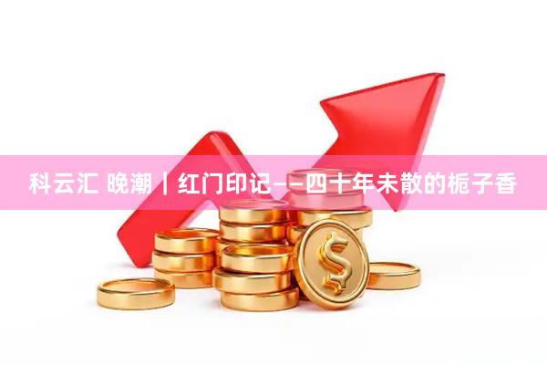 科云汇 晚潮｜红门印记——四十年未散的栀子香