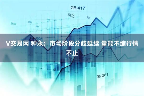 V交易网 种永：市场阶段分歧延续 量能不缩行情不止