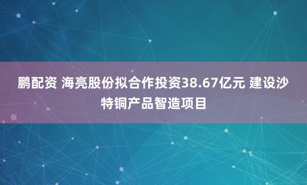 鹏配资 海亮股份拟合作投资38.67亿元 建设沙特铜产品智造项目