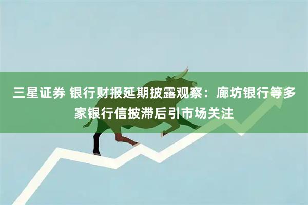 三星证券 银行财报延期披露观察：廊坊银行等多家银行信披滞后引市场关注