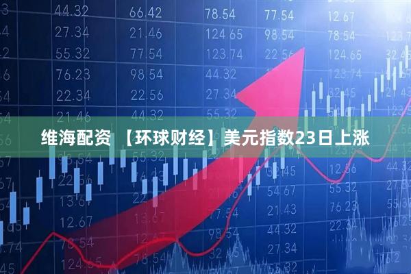 维海配资 【环球财经】美元指数23日上涨